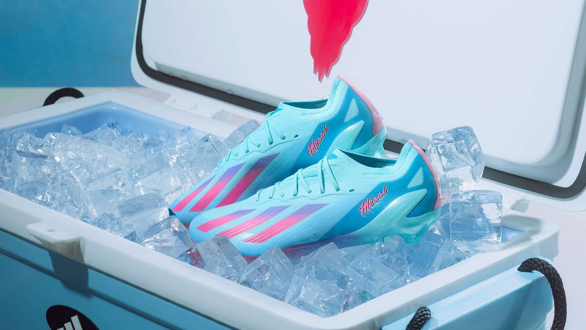 展现了他无 展现了他无