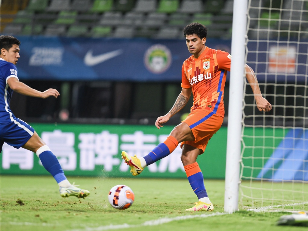 出现财务危 出现财务危